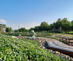 Egypt - Garden 