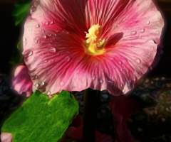 Good morning 