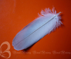 Feathertouch