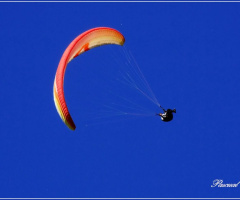 Vuelo