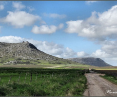 Camino de paz
