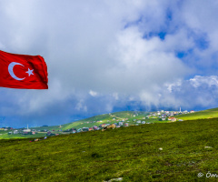 Kanım, canım...
