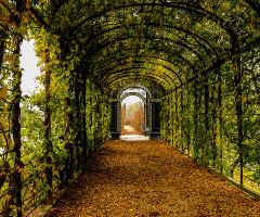 autumn