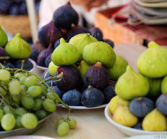 Fig - incir