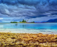 Low tide