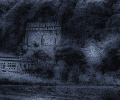 The mosque in the village
