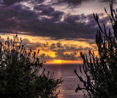 Spying on Sunrise