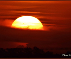 Atardecer