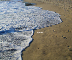 Footprints...