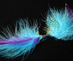 Feather