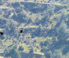 İkili Kol Uçuşu