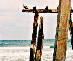 Remnants of a Pier Long Gone