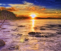 Sunset