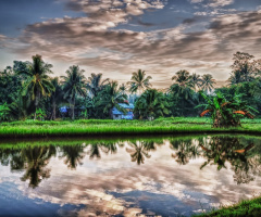 Villages and rice fields