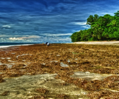 Low tide