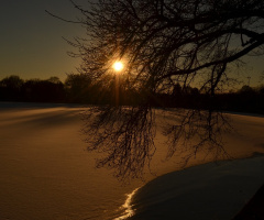 potomac nehri.3