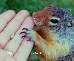 Eating out of my hand