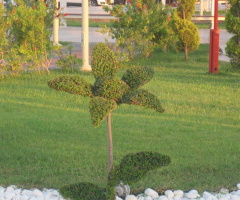 Marmaris içmeler