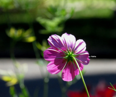 beautiful from all sides