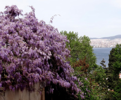 büyükada...