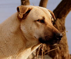 Ciddiyet ve Özgüven