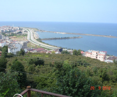 Giresun / Görele