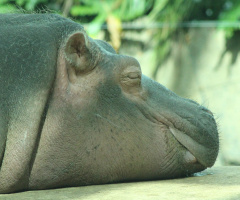 Budget Negotiations..I´m taking a nap