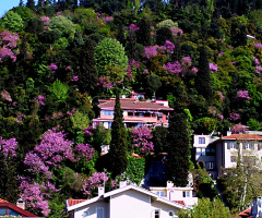 boğaziçi.....