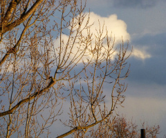 Abendstimmung