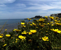 walking near the beach