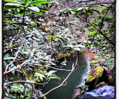 karadeniz/ordu/yesilköy dere