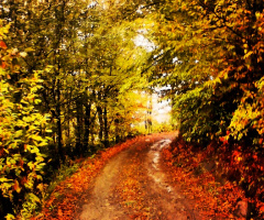 güzün doğaya yansıması