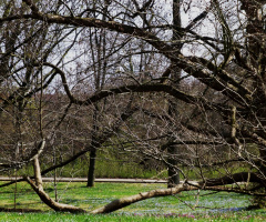 Killesberg-Park, Stuttgart/Germany