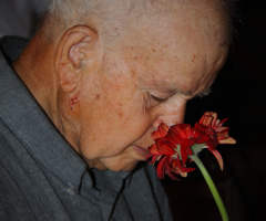 YAŞLILARA SAYGI HAFTASI (18 – 24 Mart)