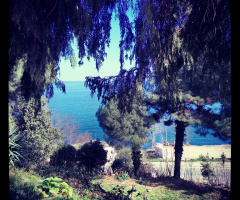 yeşil mavi