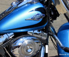 Harley Davidson