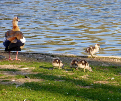 Familienausflug, Stadtgarten/Zoo, Karlsruhe/Germany