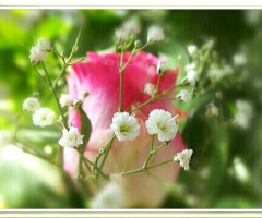 Flower within flowers