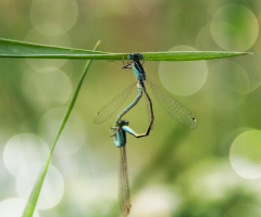 complicated situation