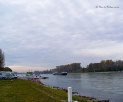 Am Rhein 