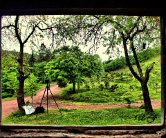 Pencerenin Ardından