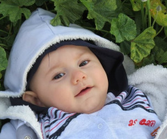 erdem