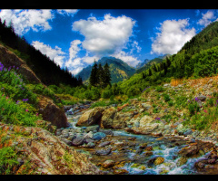 Artvin