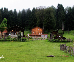 ayder yaylası
