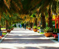 park pathway
