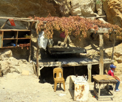 Balıkçı Çocuk