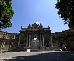 dolma bahce