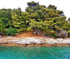 On my island! :)