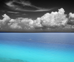 The Caribbean's Color