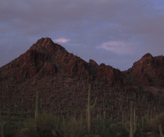 Desert Colors 45 Minutes After SunSet